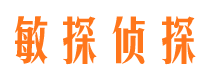 兴海市调查公司